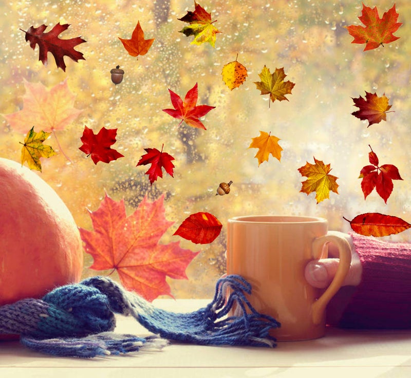 VEYLIN 6 Sheets 200Pcs Thanksgiving Window Clings, Autumn Maple Leaves Windows Static Stickers for Thanksgiving Day Window Decoration - Image 4