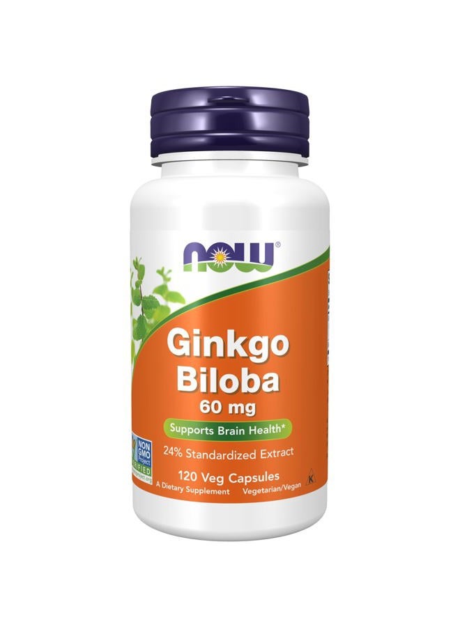 now Supplements, Ginkgo Biloba 60 mg, 24% Standardized Extract, Non-GMO Project Verified, 120 Veg Capsules - Image 1