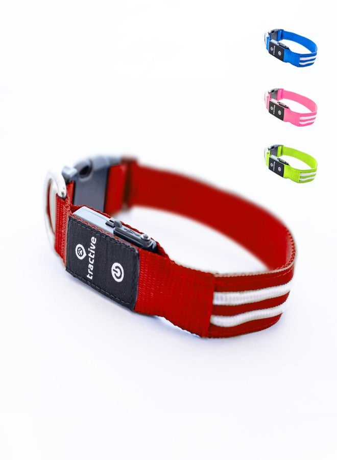 Tractive LED Light Up Dog Collar USB Rechargeable Waterproof (Red) - Image 1