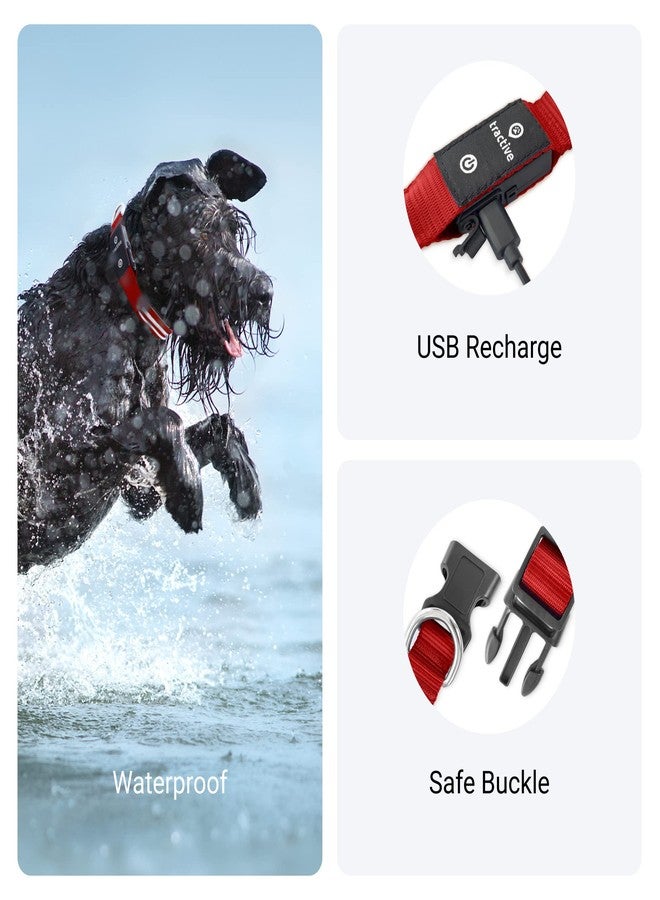 Tractive LED Light Up Dog Collar USB Rechargeable Waterproof (Red) - Image 4