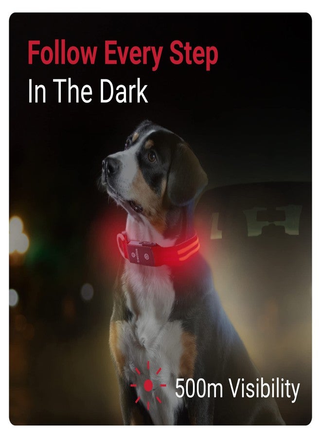 Tractive LED Light Up Dog Collar USB Rechargeable Waterproof (Red) - Image 2