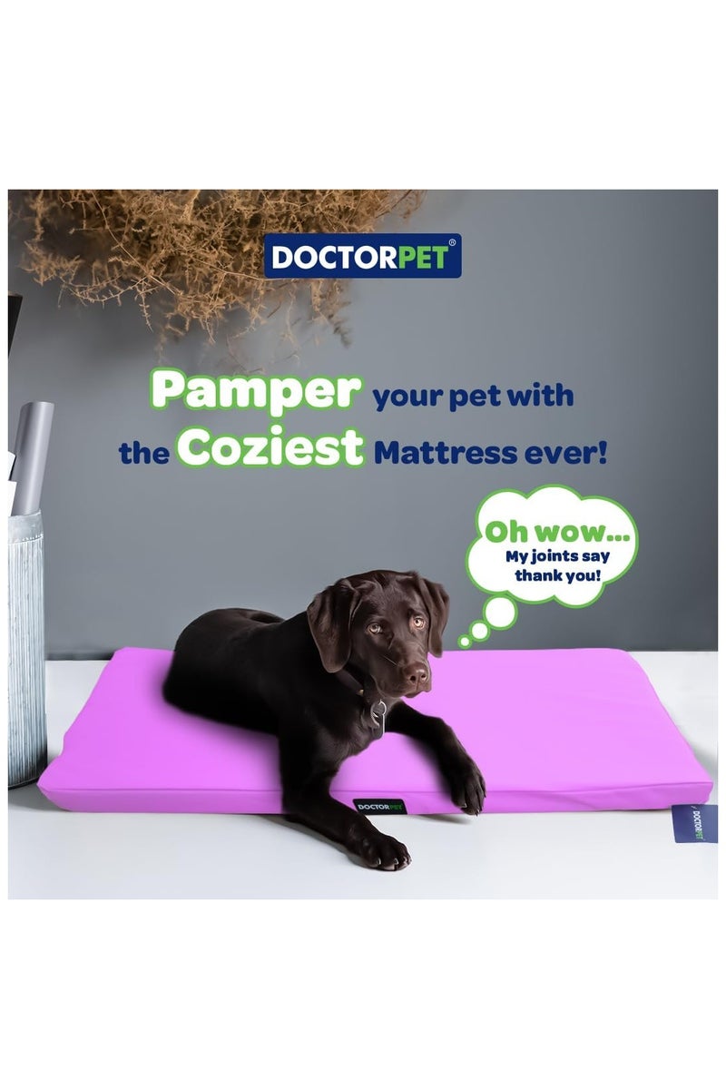 DOCTERPET Doctor Pet Gelato Series Crate Mattress Large - 61x92x6cm - Lilac - Soft Washable Fabric, Cooling Effect, Eco-Friendly Fill, Non-Slip Base – Ideal for Medium to Large Dogs - Image 2