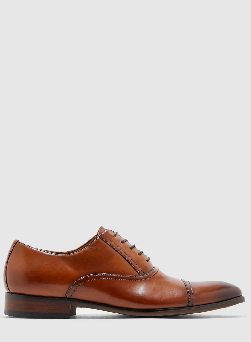 STEVE MADDEN Herbert Lace Ups