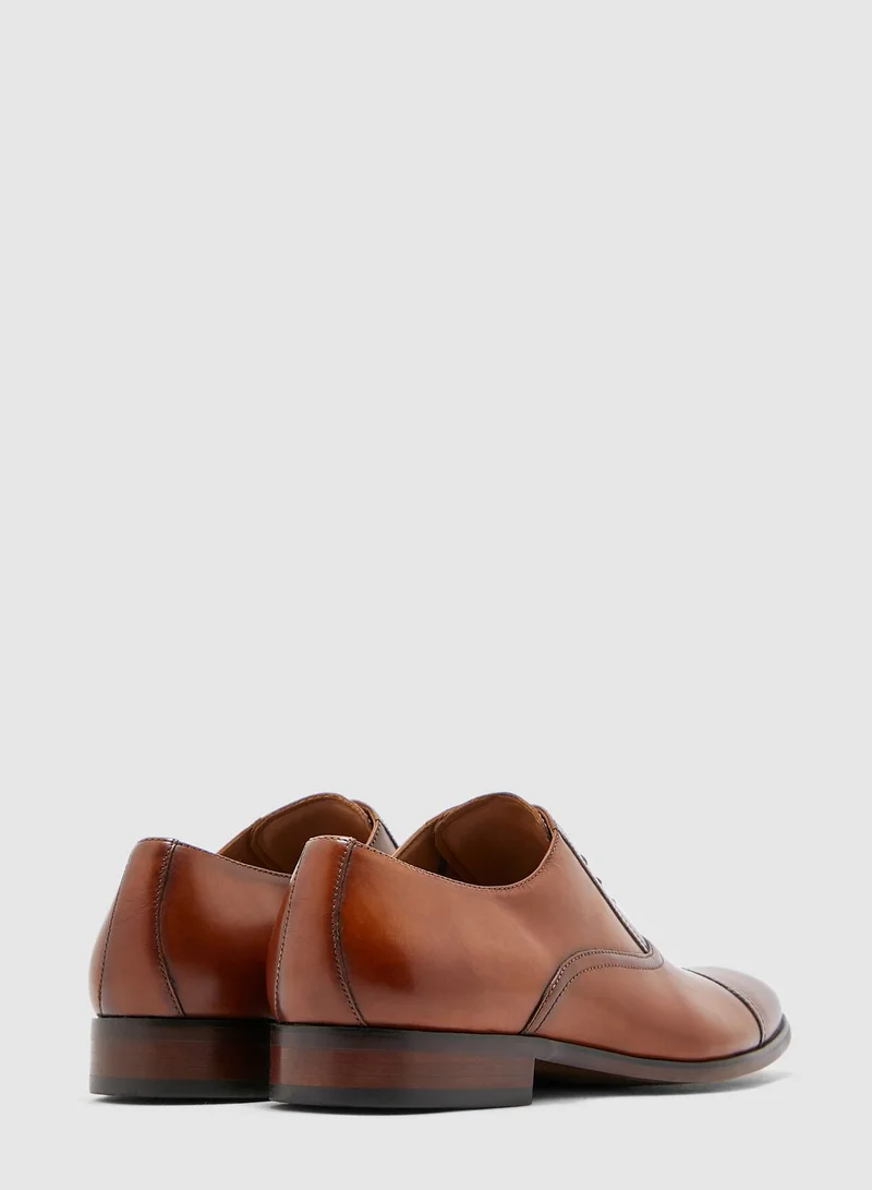 STEVE MADDEN Herbert Lace Ups