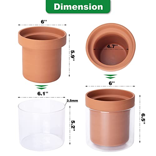 Phoenix Vine 6 Inch Self Watering Planter Pot, Terracotta Clay Pot with Glass Reservoir for Indoor Plants, Herbs, Flowers, Set of 1, 52-A-F-1 - Image 3