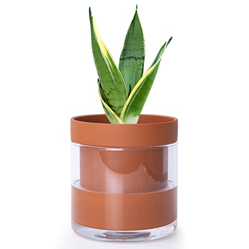 Phoenix Vine 6 Inch Self Watering Planter Pot, Terracotta Clay Pot with Glass Reservoir for Indoor Plants, Herbs, Flowers, Set of 1, 52-A-F-1 - Image 1