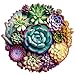 Mys Aurora Puzzles for Adults 1000 Pieces Mandala Succulent Plants Wooden Puzzles Unique Shaped Jigsaw Challenging Puzzle Gift for Family Game 234 x 226 - Image 2