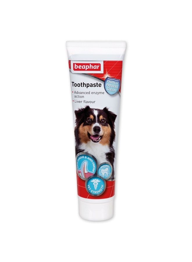 beaphar Toothpaste for Dogs and Cats, 100g - Image 1