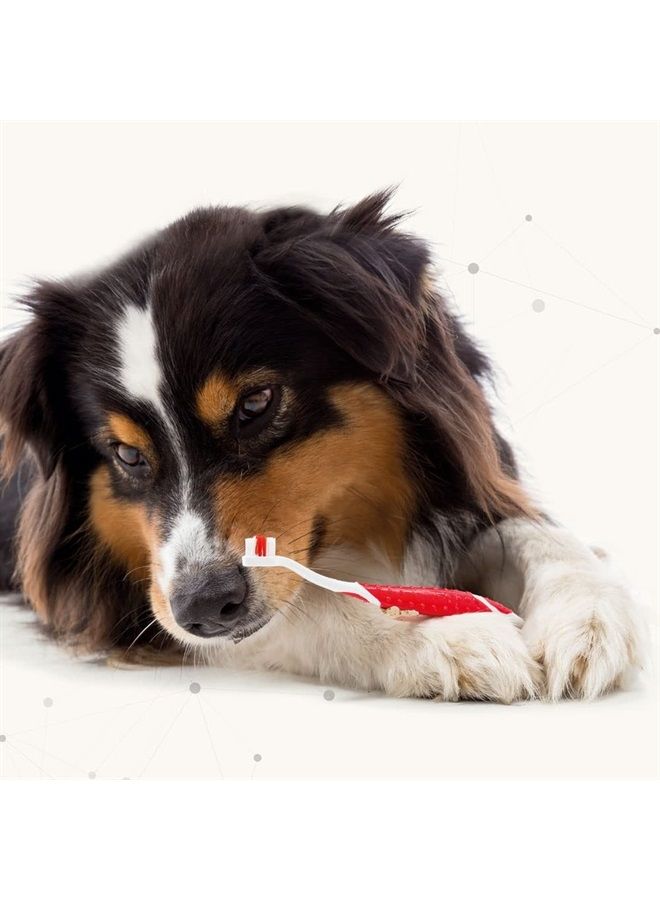 beaphar Toothpaste for Dogs and Cats, 100g - Image 5