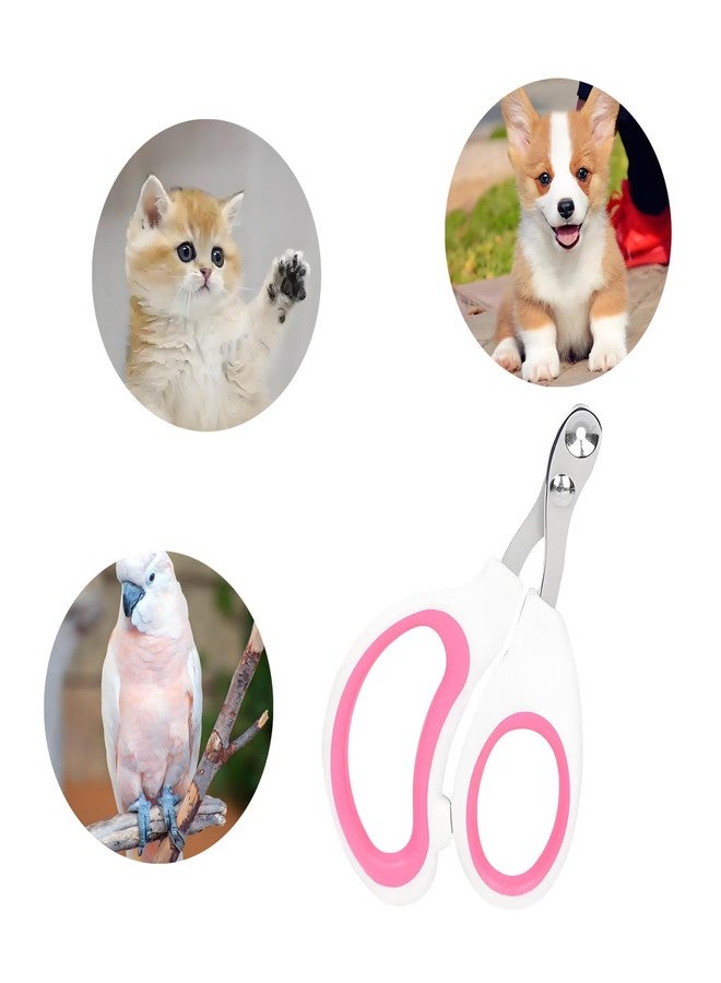 Anphly Stainless Steel pet Nail Clippers in Rose red, 1 Piece per Sale - Image 5