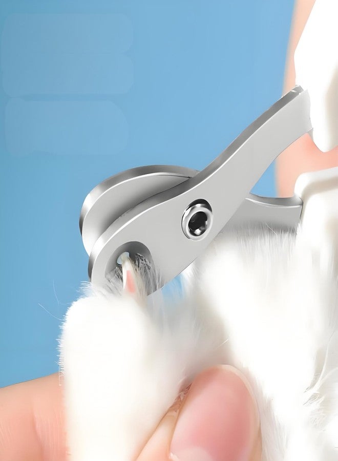 Anphly Stainless Steel pet Nail Clippers in Rose red, 1 Piece per Sale - Image 3