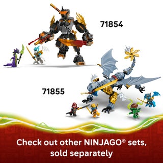 ليغو NINJAGO‎ ألعاب آلي مهمّة كول وزين التنين، لعبة نينجا للأطفال بعمر ٧ سنوات وأكثر (٣٦٤ قطعة) 71854 - view 5
