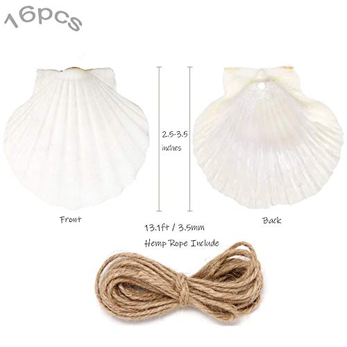 SINKOO 16PCS Natural Sea Shells 2.5"-3.5" Perforation Scallop Shells with Rope,for Christmas Tree Ornaments & DIY Hanging Home Deocration Craft Shells - Image 2
