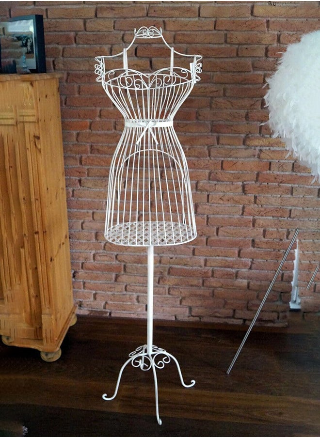 HOME TASTE Hometaste Tailors Dummy Mannequins Female Mannequin Torso Body Metal Wire Frame Dress Jewelry Display Mannequin Sewing Female Mannequin 