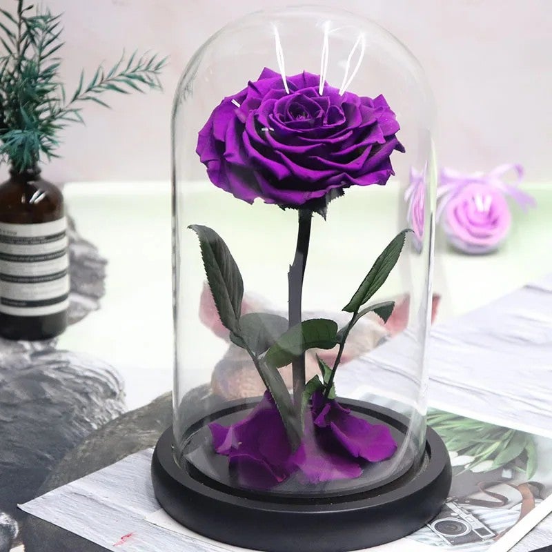 Bluejw Eternal Rose Gift for Mom, Preserved Flower in Glass Dome with LED, Forever Roses Valentines Day, Dried Plants Decor - Image 1