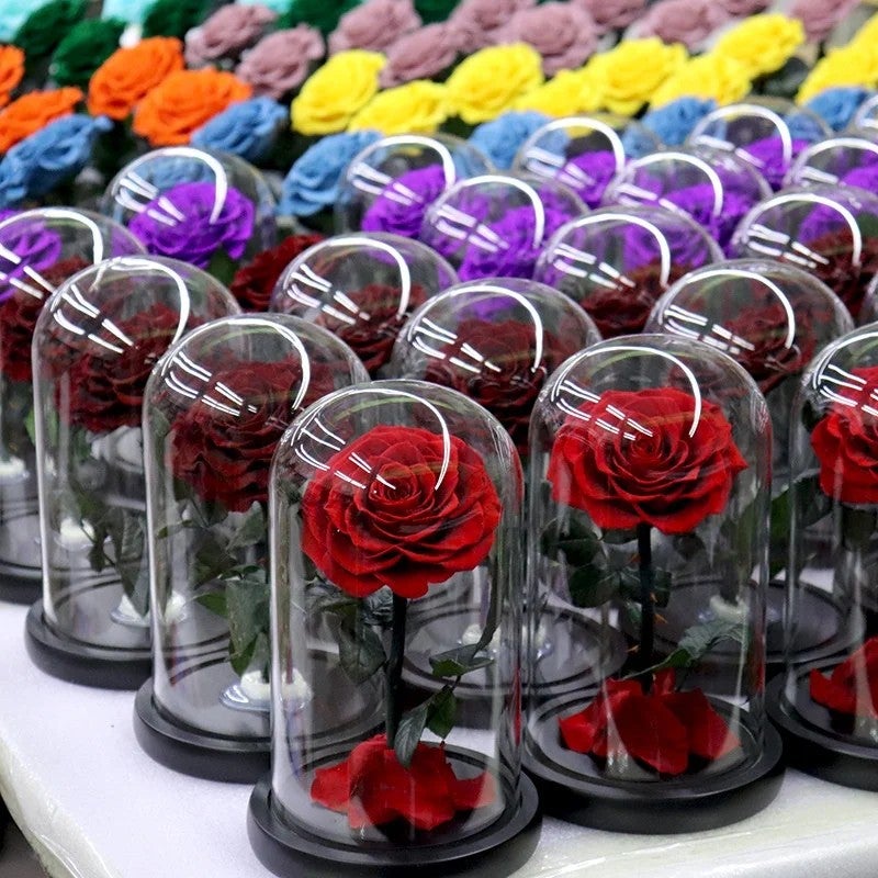 Bluejw Eternal Rose Gift for Mom, Preserved Flower in Glass Dome with LED, Forever Roses Valentines Day, Dried Plants Decor - Image 3