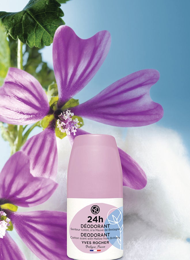 ايف روشيه مزيل عرق رول أون بالقطن ورائحة الخطمي  ساعة - Image 3