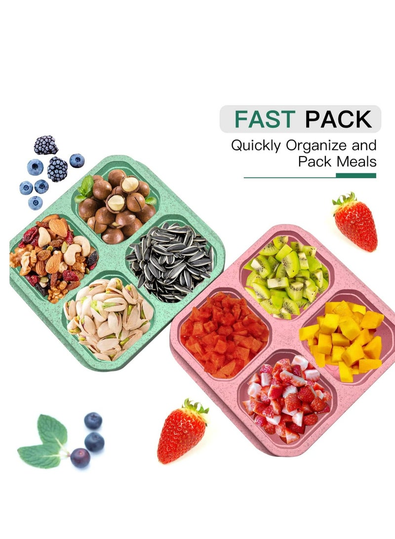 إسكدنيا حزمة من 4 صناديق البينتو للوجبات الخفيفة صناديق الغداء مستودعات لتقسيم الطعام للعمل والسفر والمدرسة - Image 3