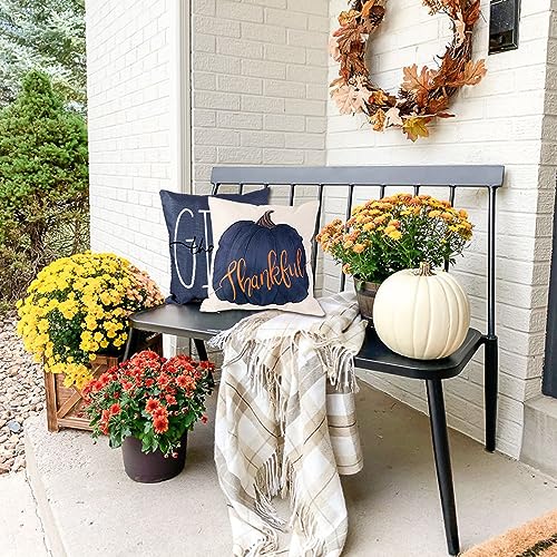 Vellibring Fall Pillow Covers 18 x 18 Inch Blue Pumpkins Throw Pillow Covers for Farmhouse Autumn Cushion Covers Thanksgiving Pillow Case for Indoor Home Bedroom Sofa Decor - Image 4