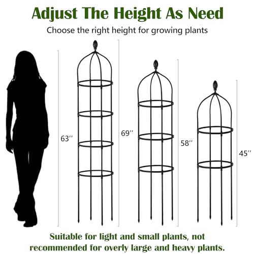 Miuwauer Garden Obelisk Trellis for Climbing Plants Outdoor 6 Ft Rose Bush Round Trellis for Pots Rustproof Metal Plant Flower Trellises for Clematis Vine Jasmine Support Outdoor Indoor - Image 3