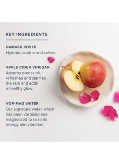 Heritage Store HERITAGE STORE Rosewater & Vinegar - Exfoliating Toner with Apple Cider Vinegar - Oily to Combination Skin - Refreshing Facial Mist Cleans, Refines Pores and Clarifies Skin Hypoallergenic, Vegan, 8oz  - Image 3