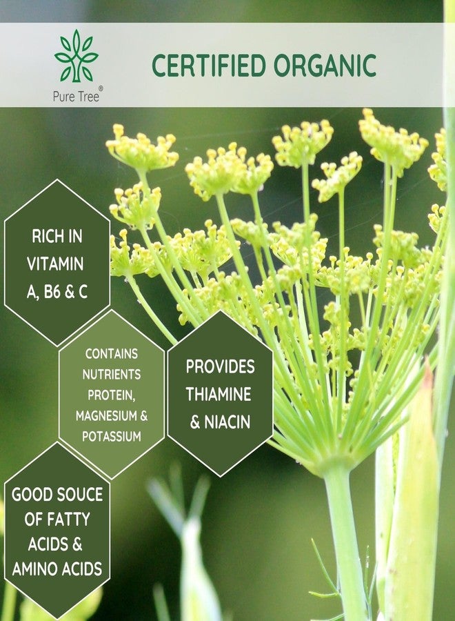 Pure Tree Certified Organic Fennel Seeds | 250 Gm | Saunf, Variyali | Perumjeerakam Whole Spices Sombu Whole | Fennel Seeds Saunf | Organic Saunf Rich Flavour Sombu - Image 5