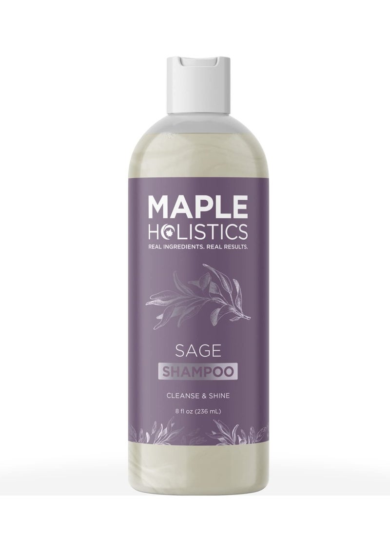 Sage and Rosemary Shampoo Sulfate Free - Sage Oil Clarifying Shampoo for Build Up and Scalp Moisturizer - Oily Hair Shampoo for Greasy Hair and Dry Scalp Treatment with Essential Oils for Hair - pzsku/Z987381F8BBFB8116258AZ/45/_/1738327234/c65bde4c-f647-47b2-bfb9-8194a1a7feda