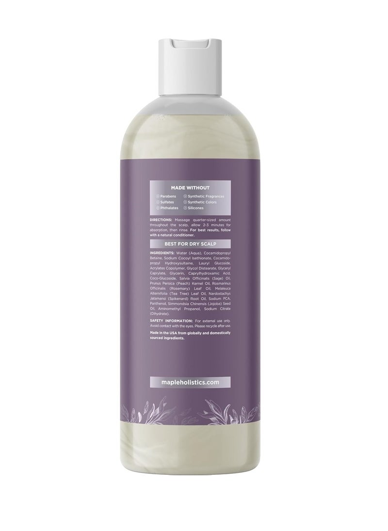 Sage and Rosemary Shampoo Sulfate Free - Sage Oil Clarifying Shampoo for Build Up and Scalp Moisturizer - Oily Hair Shampoo for Greasy Hair and Dry Scalp Treatment with Essential Oils for Hair - pzsku/Z987381F8BBFB8116258AZ/45/_/1738327245/8a4e4b93-3749-4978-9cb8-0fc8ba31cdcb