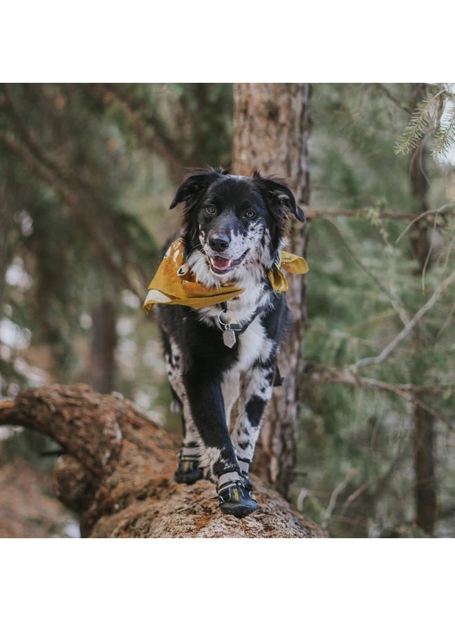 Dog Shoes for Large Dogs, Medium Dog Boots & Paw Protectors for Winter Snowy Day, Summer Hot Pavement, Waterproof in Rainy Weather, Outdoor Walking, Indoor Hardfloors Anti Slip Sole Black Size 7