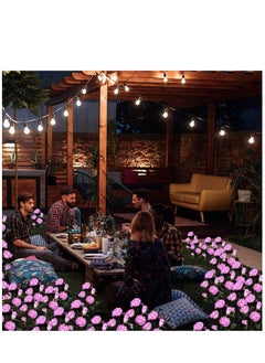 Gerenic Solar Rose Light, 5 Heads Waterproof Solar Powered Flower Lights, Rose Light for Garden Patio and more  - Image 4