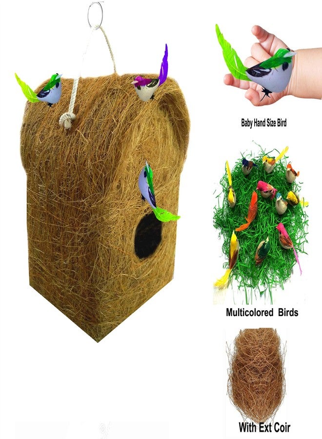 LIVEONCE Bird House with 3 Birds,Material Type -Coir, Color -Brown, Size (L 12 x W 12 X 20 cm),Pack of 1… - Image 2