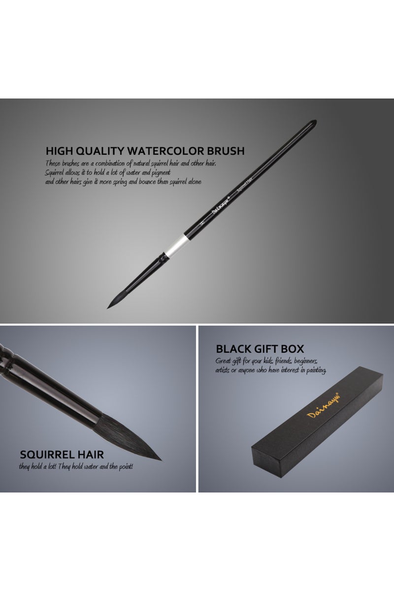 erorex 4pcs bursh set Professional 4Pcs Black Handle Round Brushes set Squirrel Hair Art Painting Brushes f - Image 4