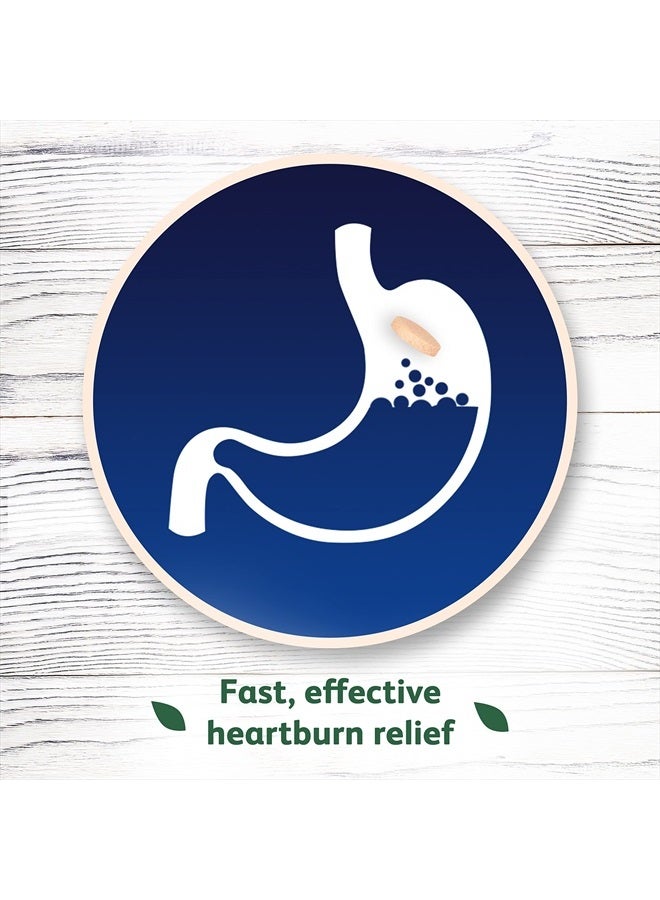 TUMS Naturals Ultra Strength Antacid Chews for Heartburn Relief, Great for a Summer BBQ - Black Cherry & Watermelon - 190 Count  - Image 5