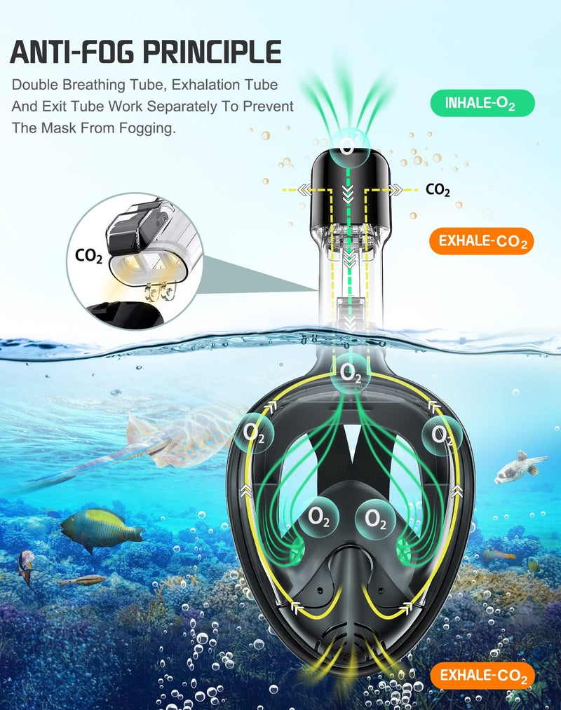 Greatever Full Face Snorkel Mask, Snorkeling Gear for Adults Kids with Latest Dry Top Breathing System and Detachable Camera Mount, Foldable Panoramic View Snorkeling Mask Set, Anti-Fog & Anti-Leak - Image 4
