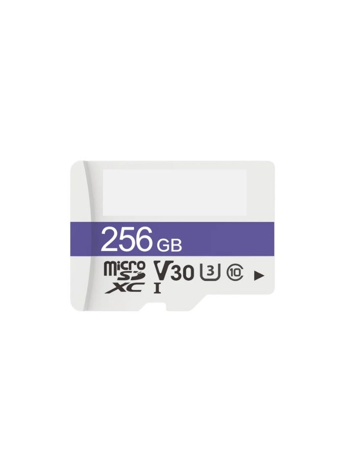 DAHUA TF-C100/256GB C100 microSD Memory Card 