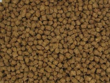 Invert Aquatics NutriSpheres - Sinking Diet for Snails, Shrimp & Bottom Feeding Fish - Image 3