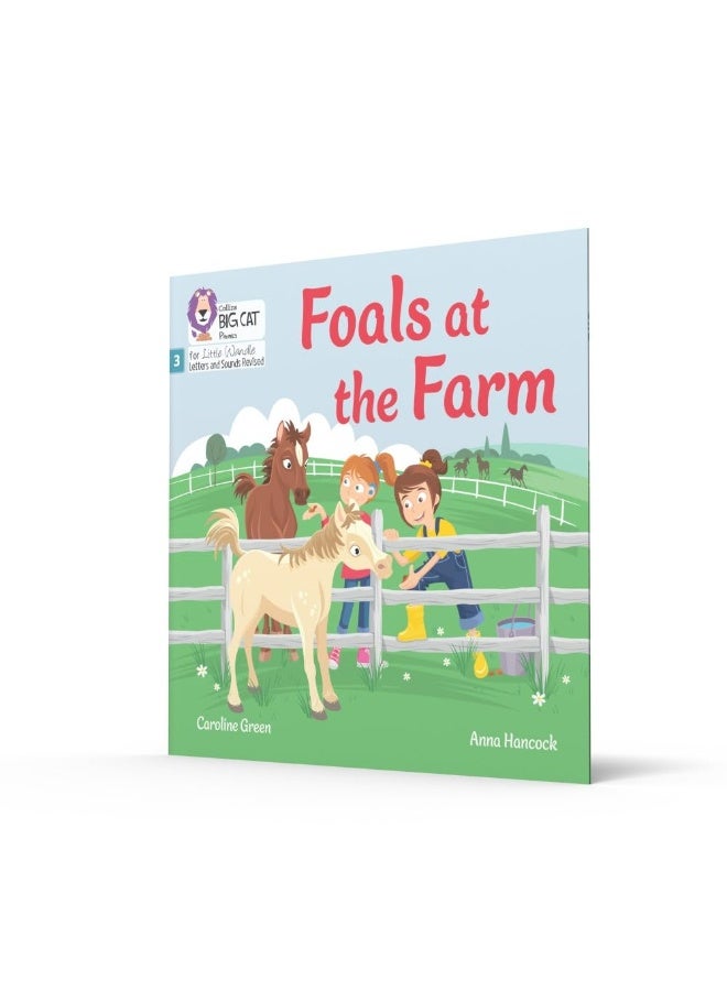 Fiction title 3: Phase 3 Set 1 Blending practice - Image 2