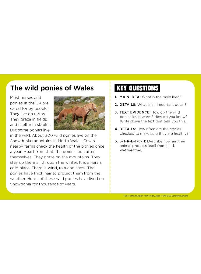 Non-fiction Ages 7-8 - Image 5