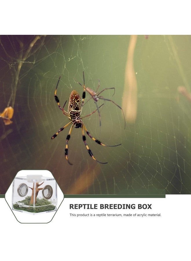 STOBOK 2set Spider Habitat Box Small Transparent Breeding Enclosure for Jumping Spiders and Reptiles Lightweight Design for Easy Outdoor Use - Image 5
