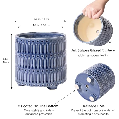 STHIE 5 Inch Ceramic Planters for Indoor Plants, Blue Cactus Snake Plant Pots with Drainage, Unique Design Round Flower Pot for Home Decoration - Image 2