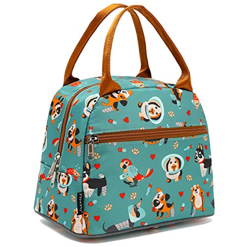 FlowFly Insulated Lunch Cooler Bag  Tote Bag Organizer for WomenMen Dog
