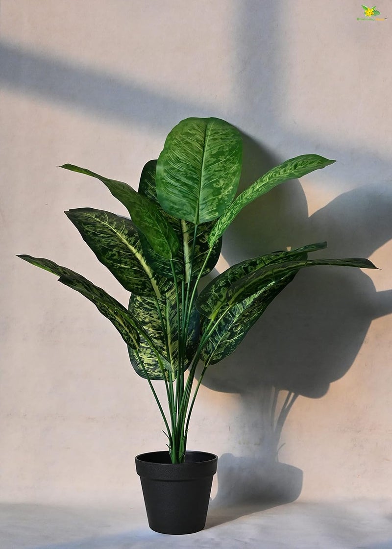 Blooming Floret Blooming Floret Artificial Dieffenbachia Plant with Basic Black Pot Ornamental Plant for Interior DecorHome DecorOffice Decor 12 Leaves 635 cm Short Indoor Tropical Plant Durable  - Image 4