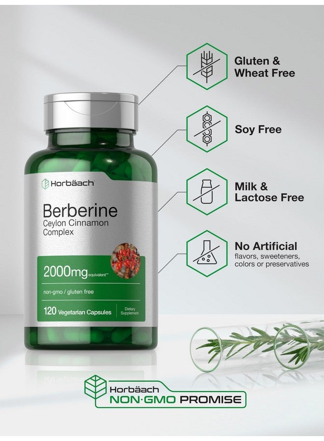 Horbäach Horbaach Berberine with Ceylon Cinnamon | 2000mg | 120 Veggie Capsules | Vegetarian, Non-GMO & Gluten Free Supplement | Berberine Complex - Image 5
