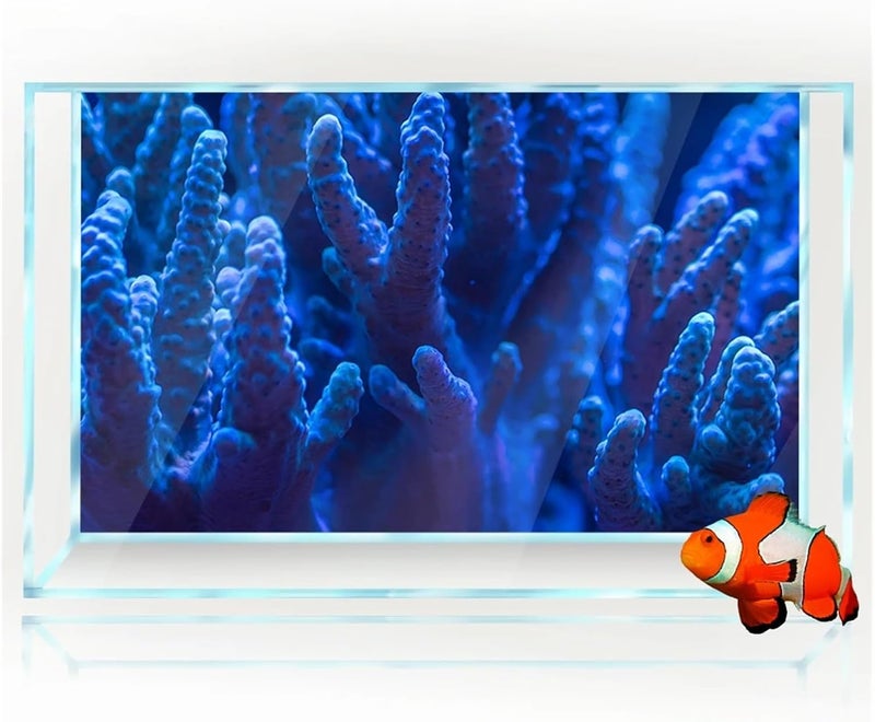 Fish Tank Background Aquarium Background 3D Blue Coral Decorates Ocean Wallpaper Fish Tank Reptile Habitat Decorations(50x100cm 20x39in) - Image 2