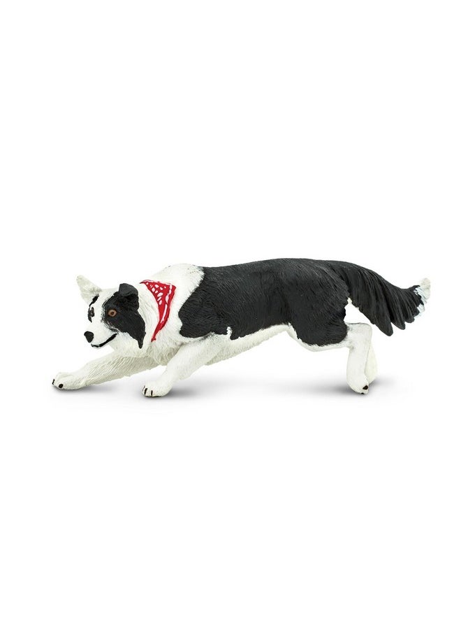Safari Ltd. Border Collie Figurine Detailed 5" Plastic Model Figure Fun Educational Play Toy For Boys Girls & Kids Ages 3+  - Image 1