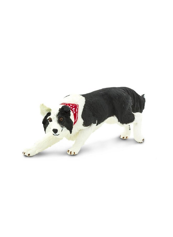 Safari Ltd. Border Collie Figurine Detailed 5" Plastic Model Figure Fun Educational Play Toy For Boys Girls & Kids Ages 3+  - Image 3