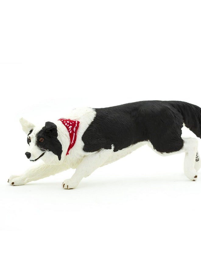 Safari Ltd. Border Collie Figurine Detailed 5" Plastic Model Figure Fun Educational Play Toy For Boys Girls & Kids Ages 3+  - Image 5