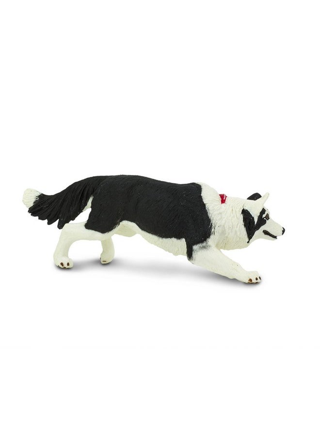 Safari Ltd. Border Collie Figurine Detailed 5" Plastic Model Figure Fun Educational Play Toy For Boys Girls & Kids Ages 3+  - Image 4