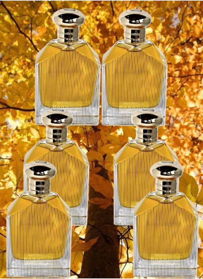 6 Pieces Beethoven Harmony Perfume 100ML - pzsku/Z98885488588D4BC2B4A7Z/45/_/1699639005/c887a6c2-1605-4841-b07e-155bca965bfd