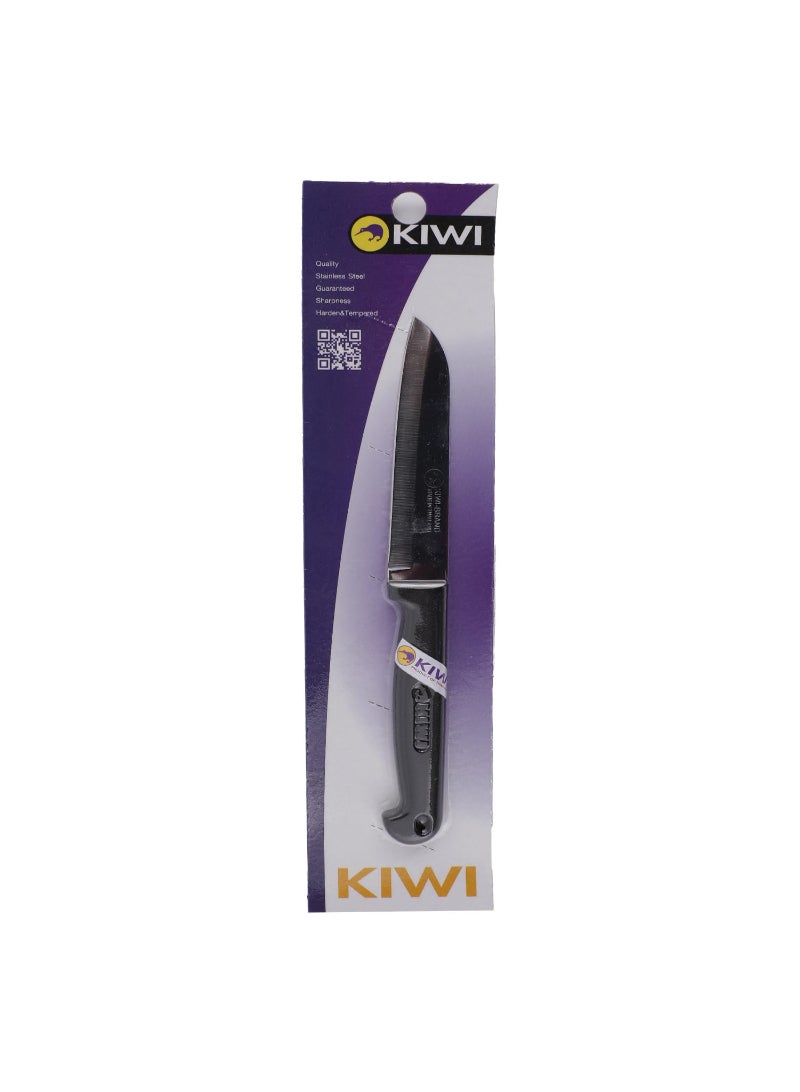 Plastic Handle Paring Knife, 4 inches, K194